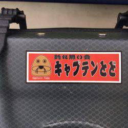 末広丸(熊本) 釣果