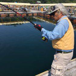 釣り堀水宝 釣果