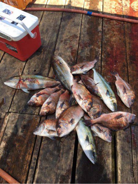 釣り堀水宝 釣果