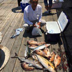 釣り堀水宝 釣果