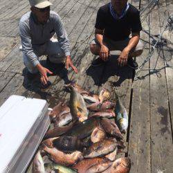 釣り堀水宝 釣果