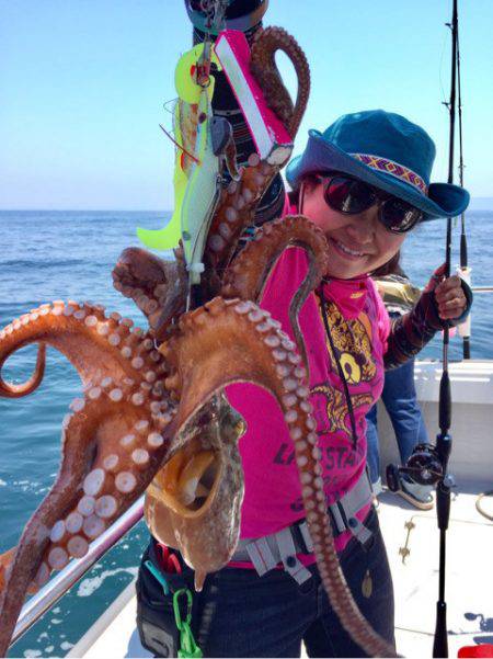 ビッグファイター 釣果