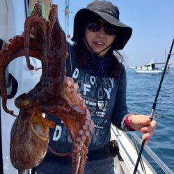 ビッグファイター 釣果