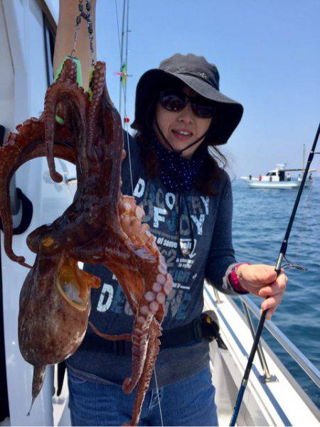 ビッグファイター 釣果