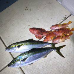 Monster Rush! 釣果