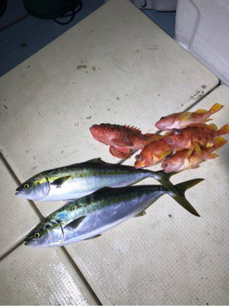 Monster Rush! 釣果