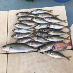 Monster Rush! 釣果