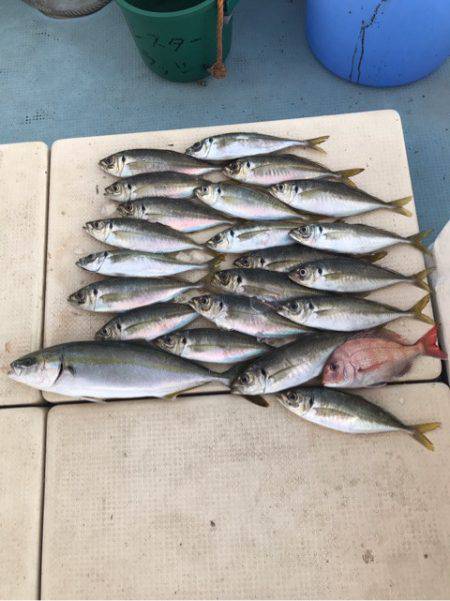 Monster Rush! 釣果