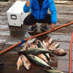 釣り堀水宝 釣果