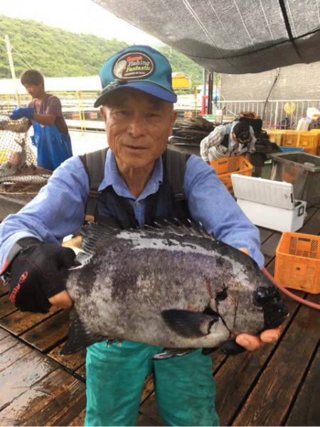 釣り堀水宝 釣果
