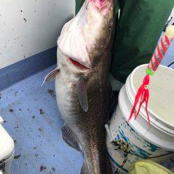 第二 つれたか丸 釣果