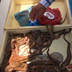 ヤザワ渡船 釣果