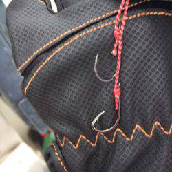 「LaGooN」蒼陽丸 日和号　 釣果