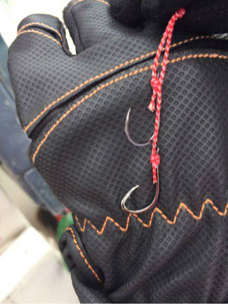 「LaGooN」蒼陽丸 日和号　 釣果