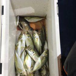 ヤザワ渡船 釣果