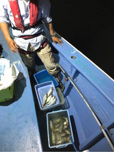 ヤザワ渡船 釣果