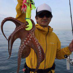 ビッグファイター 釣果