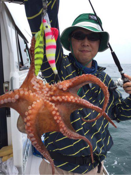 ビッグファイター 釣果