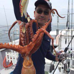 ビッグファイター 釣果