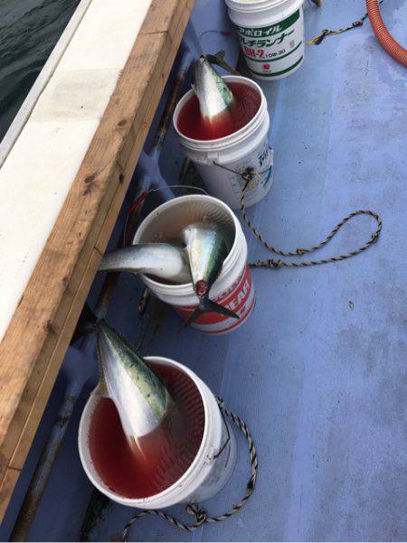 第二 つれたか丸 釣果