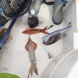 「LaGooN」蒼陽丸 日和号 釣果