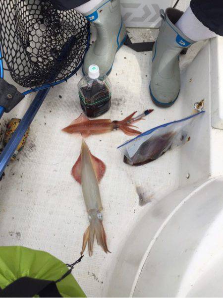 「LaGooN」蒼陽丸 日和号 釣果