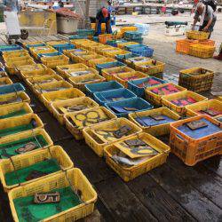 釣り堀水宝 釣果