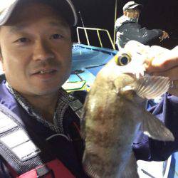 ヤザワ渡船 釣果