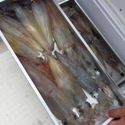 「LaGooN」蒼陽丸 日和号　 釣果