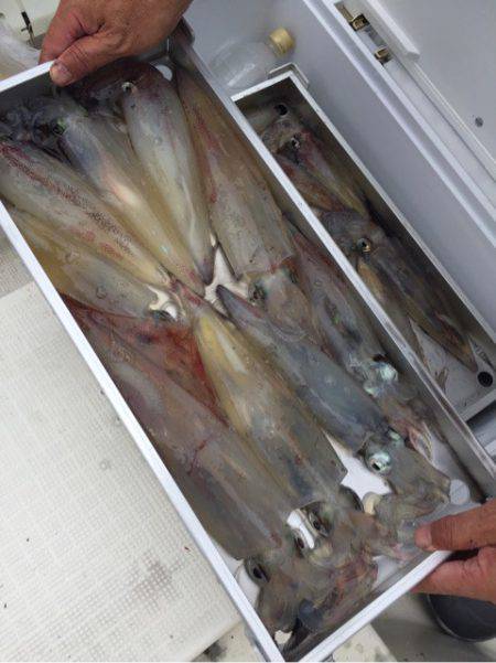 「LaGooN」蒼陽丸 日和号　 釣果