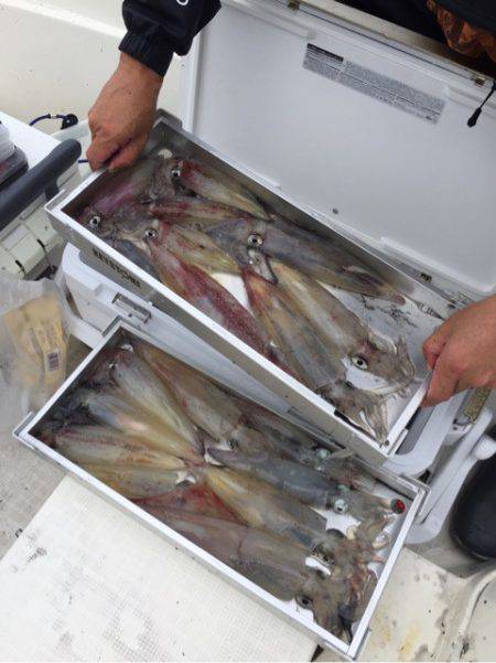 「LaGooN」蒼陽丸 日和号　 釣果