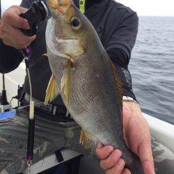 「LaGooN」蒼陽丸 日和号　 釣果