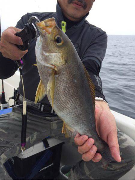 「LaGooN」蒼陽丸 日和号　 釣果