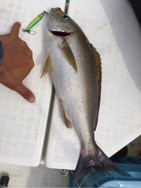 「LaGooN」蒼陽丸 日和号　 釣果