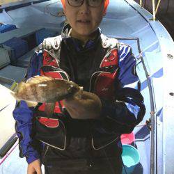 ヤザワ渡船 釣果