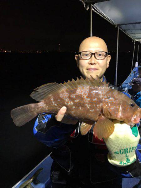 ヤザワ渡船 釣果
