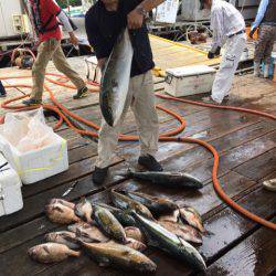 釣り堀水宝 釣果