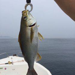 「LaGooN」蒼陽丸 日和号　 釣果