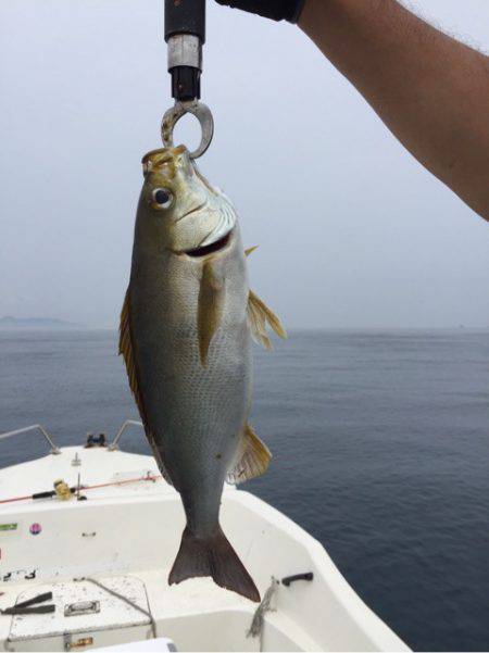 「LaGooN」蒼陽丸 日和号　 釣果