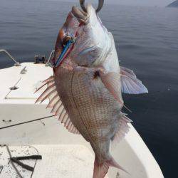 「LaGooN」蒼陽丸 日和号　 釣果