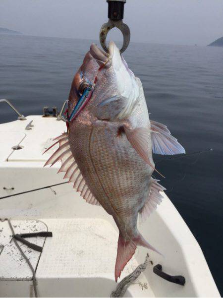 「LaGooN」蒼陽丸 日和号　 釣果