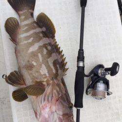 「LaGooN」蒼陽丸 日和号　 釣果