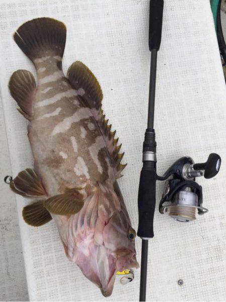 「LaGooN」蒼陽丸 日和号　 釣果