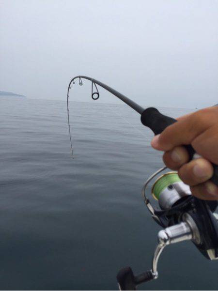 「LaGooN」蒼陽丸 日和号　 釣果