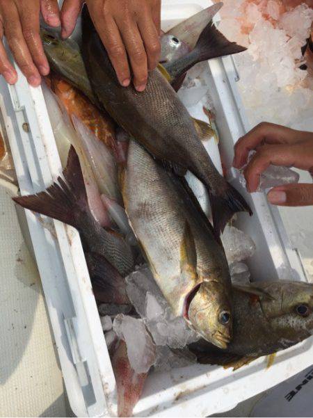「LaGooN」蒼陽丸 日和号　 釣果