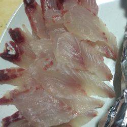 「LaGooN」蒼陽丸 日和号　 釣果