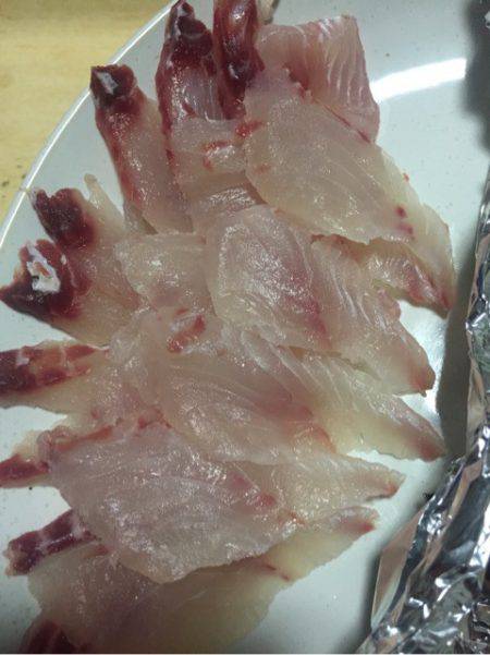 「LaGooN」蒼陽丸 日和号　 釣果