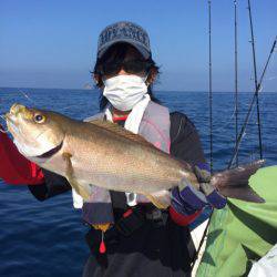 「LaGooN」蒼陽丸 日和号　 釣果