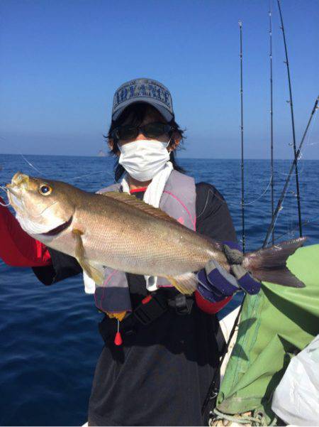 「LaGooN」蒼陽丸 日和号　 釣果