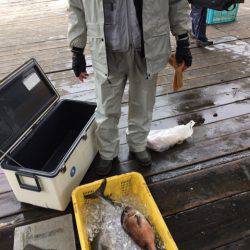 釣り堀水宝 釣果